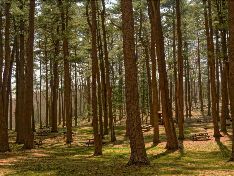 sudoku phone version