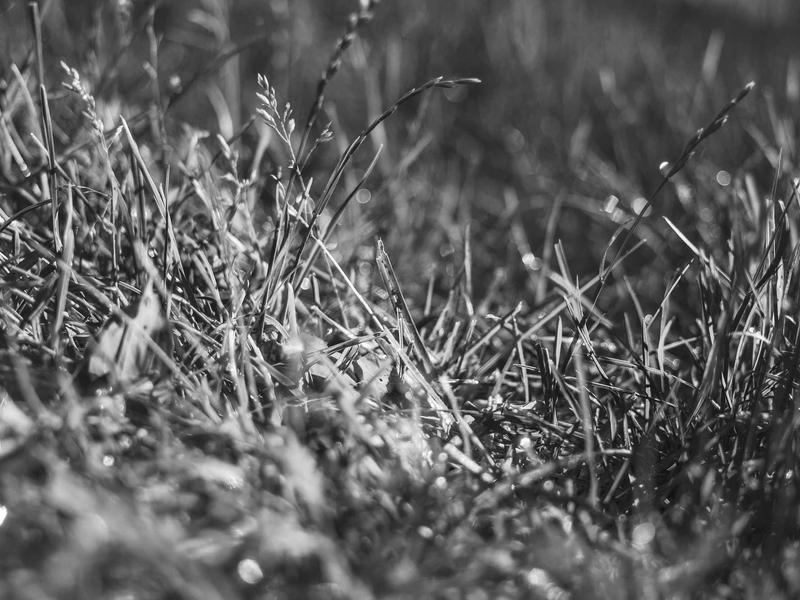 sudoku phone version screenshot 3